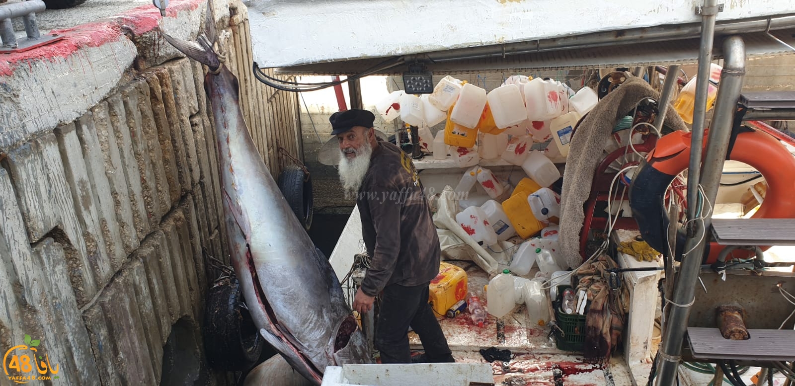  صور: اصطياد سمكتي تونة عملاقة من بحر مدينة يافا 